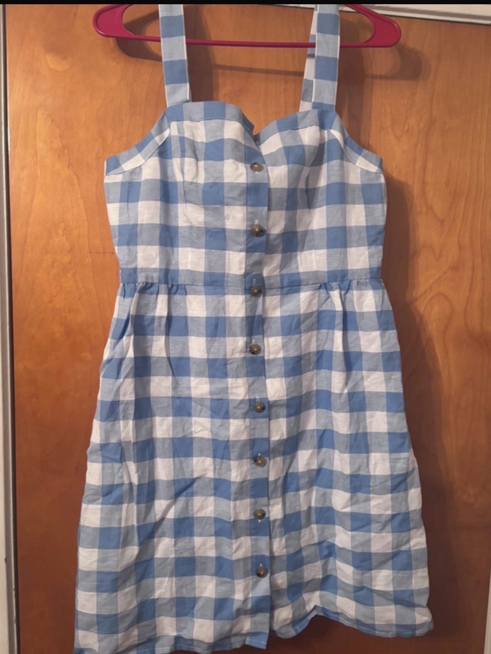 J. Crew Blue and White Gingham Button-Front Sundress